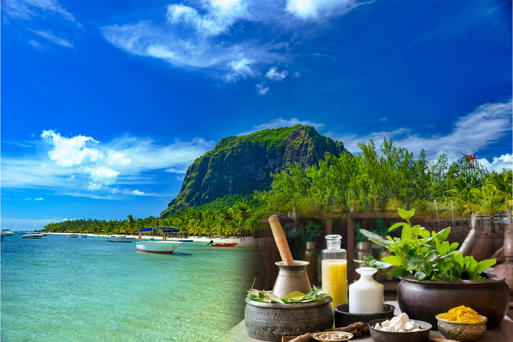 Mauritius to scale up Ayurveda services