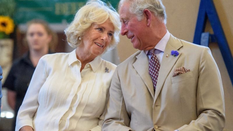Prince Charles to celebrate birthday with wife at Soukya Health Center, Bangalore